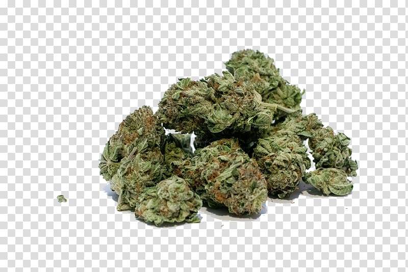 Cannabis smoking Medical cannabis Legality of cannabis Cannabis cultivation, cannabis transparent background PNG clipart