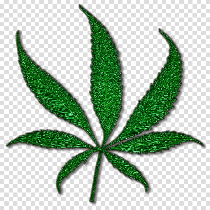 Medical cannabis Marijuana Joint Cannabis sativa, Pot plant transparent background PNG clipart