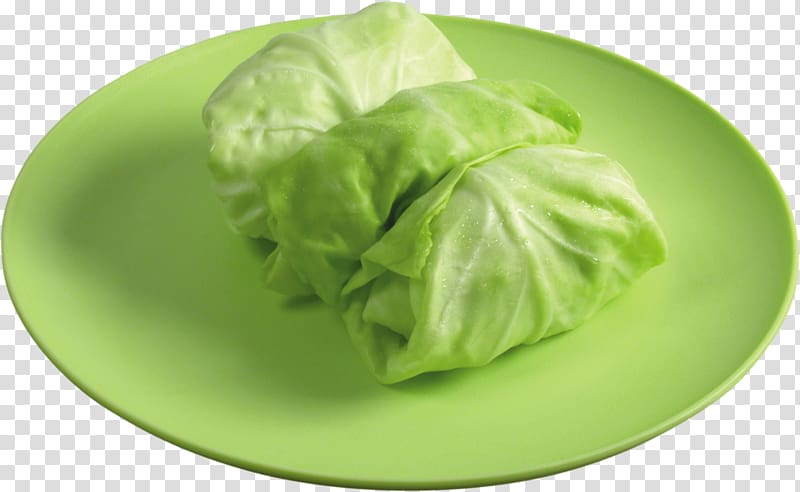 Cabbage roll Leaf vegetable Food, cabbage transparent background PNG clipart