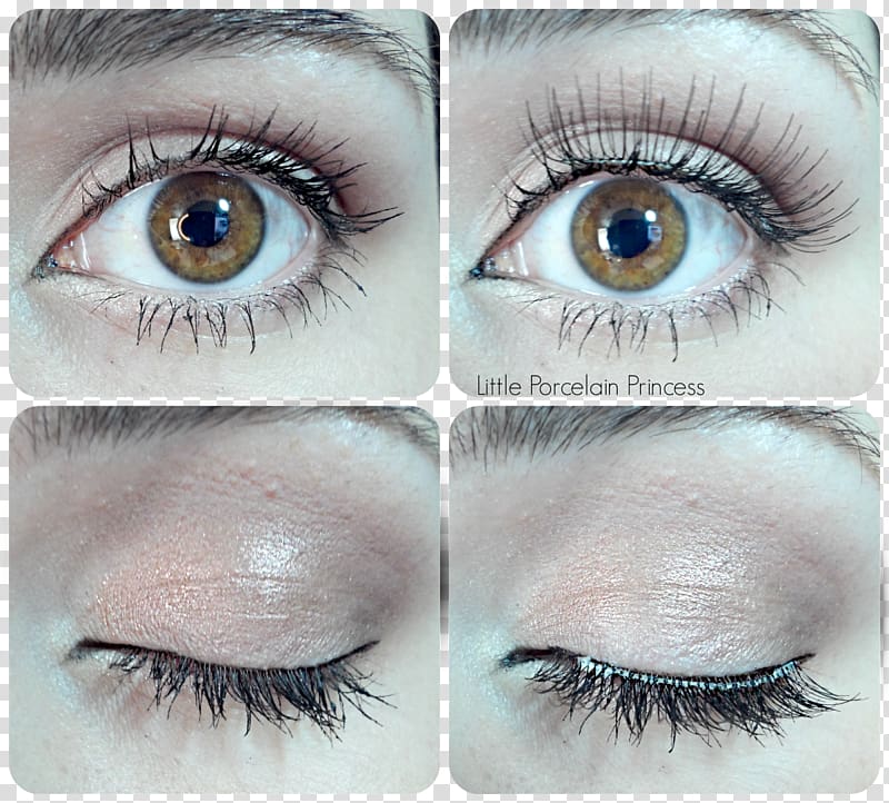 Eyelash Cosmetics Eye Shadow Eye liner Beauty, lashes transparent background PNG clipart