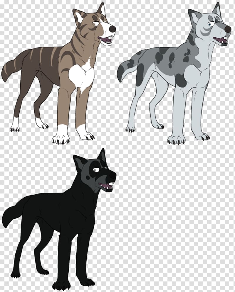 Dog breed Canaan Dog Siberian Husky Kai Ken Border Collie, german shepherd border collie mix transparent background PNG clipart