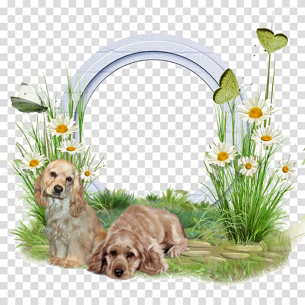 Puppy Dog breed, Dogs and plants white border transparent background PNG clipart