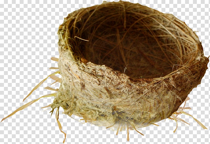 Bird Nest , Bird house transparent background PNG clipart