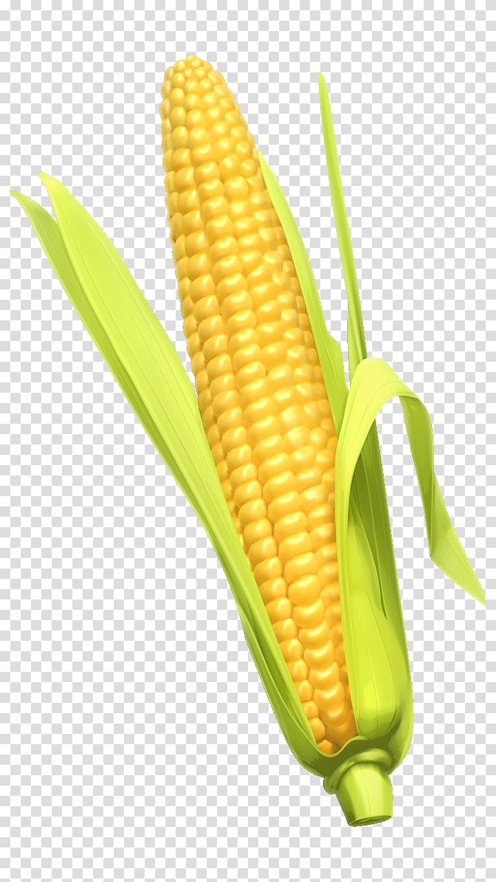 Corn on the cob Corn whiskey Cornbread Maize , corn transparent background PNG clipart
