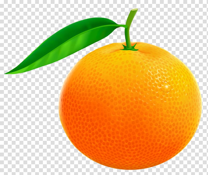 transparent orange fruit