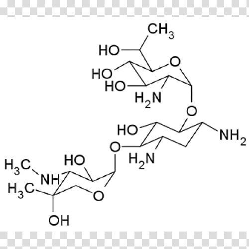 G418 Neomycin Technology Phosphoric acid Angle, Eukaryotic Cell transparent background PNG clipart