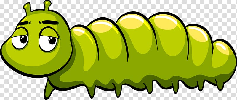 Caterpillar Illustration, Green cartoon caterpillar transparent background PNG clipart