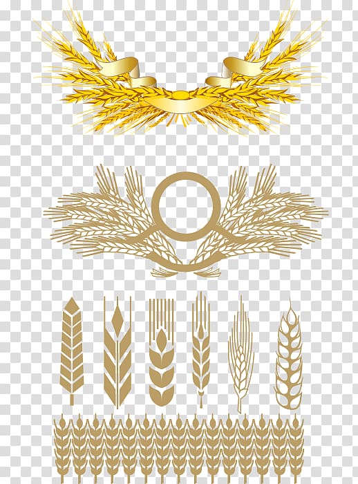 Wheat Euclidean Rye , Golden wheat grass transparent background PNG clipart