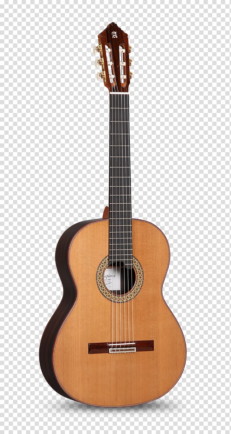 Steel-string acoustic guitar C. F. Martin & Company Musical Instruments, 3c transparent background PNG clipart