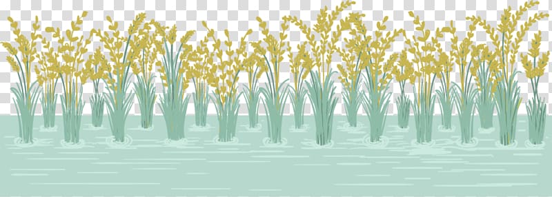 0 Euclidean Paddy Field Wall, Paddy field transparent background PNG clipart