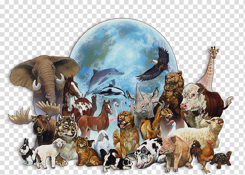 What Do You Know about Animals? Animal welfare Extinction Endangered species, Dog transparent background PNG clipart