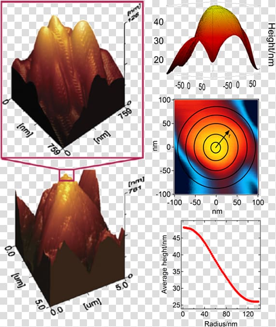 Cantilever Colloidal probe technique Measurement Force Graphics, transparent background PNG clipart