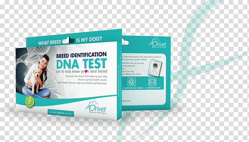 Dog breed Genetic testing Genealogical DNA test, dna testing transparent background PNG clipart
