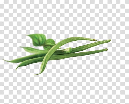 Green bean Organic food Side dish Orogel S.p.A. Consortile, others transparent background PNG clipart