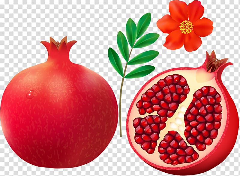 Pomegranate juice Pomegranate juice Fruit, Red pomegranate transparent background PNG clipart