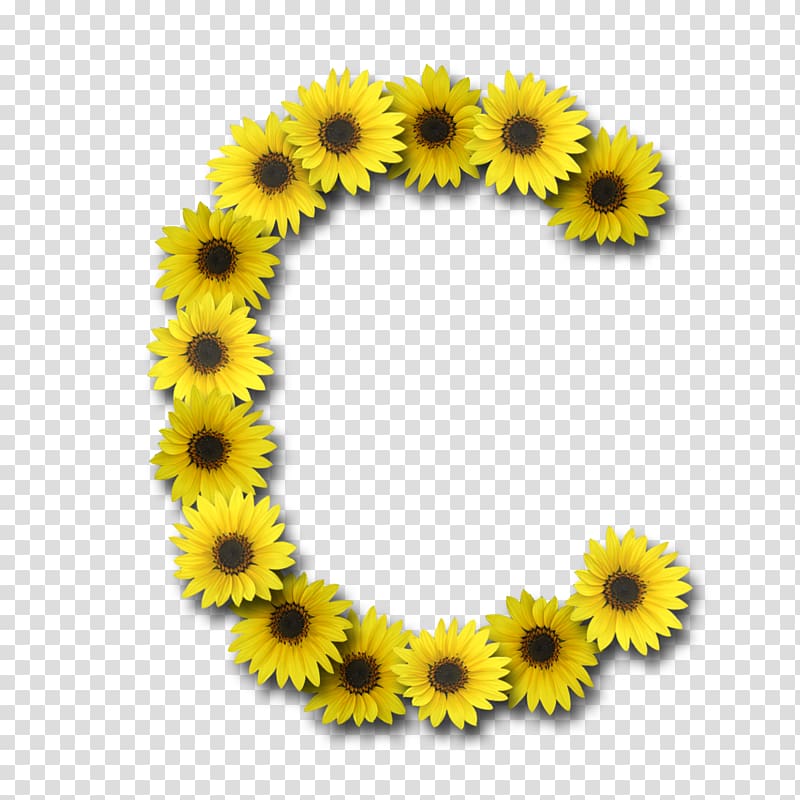 Letter case Alphabet Font, sunflower transparent background PNG clipart