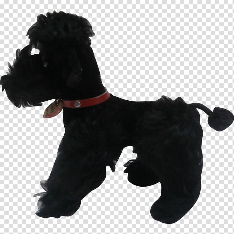 Miniature Schnauzer Affenpinscher Schnoodle Scottish Terrier Standard Schnauzer, poodle transparent background PNG clipart