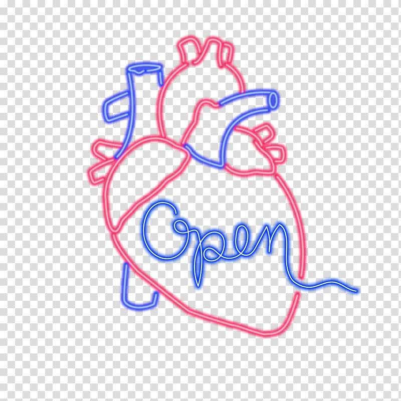 Anatomy Heart Drawing Organ , heart transparent background PNG clipart