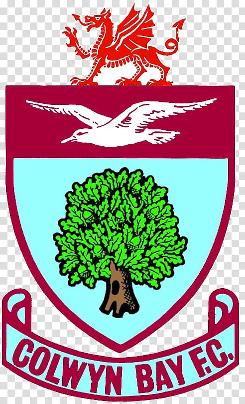 Colwyn Bay F.C. Northern Premier League Colwyn Bay Football Club Buxton F.C., football transparent background PNG clipart