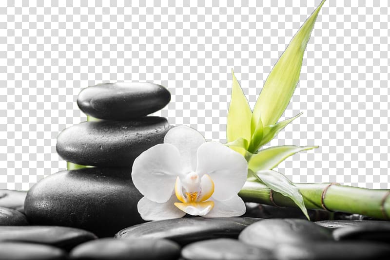 stone massage transparent background PNG clipart