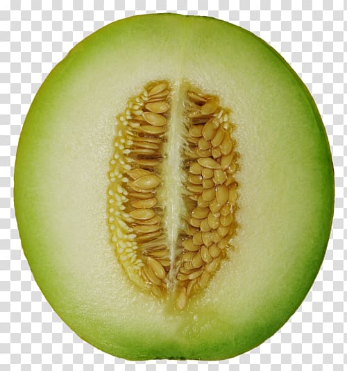 Cantaloupe Hami melon Honeydew Wax gourd, melon transparent background PNG clipart