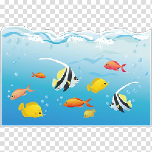 Coral reef fish Deep sea Marine biology Underwater, sea transparent background PNG clipart
