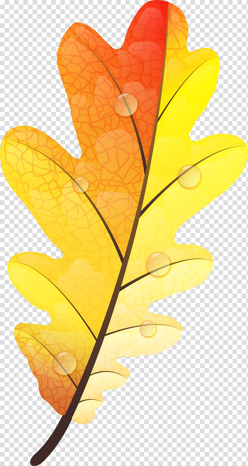 Autumn leaf color Yellow Autumn leaf color, Yellow autumn leaves transparent background PNG clipart