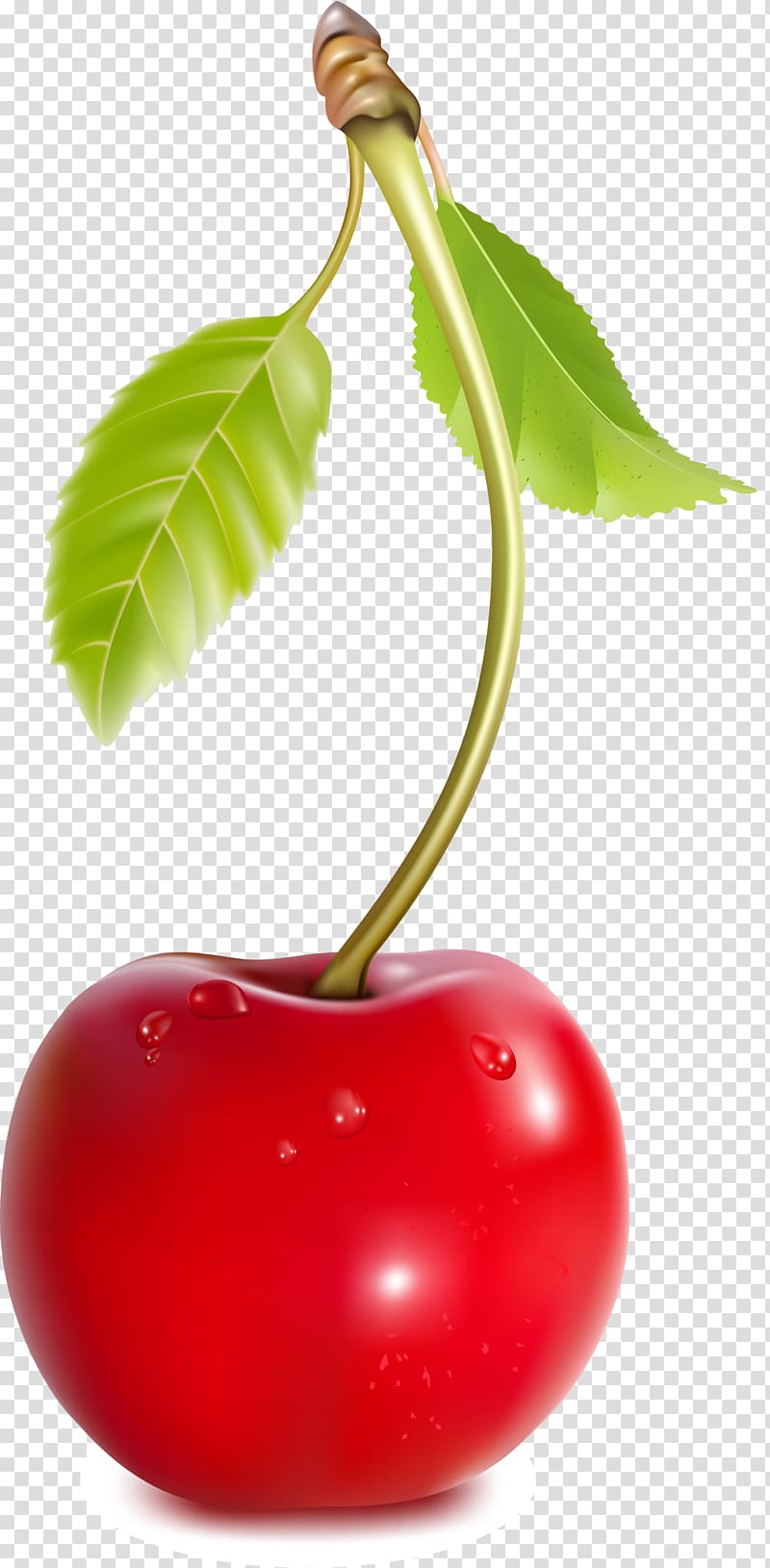 Coca-Cola Cherry Fruit, Green cherry transparent background PNG clipart