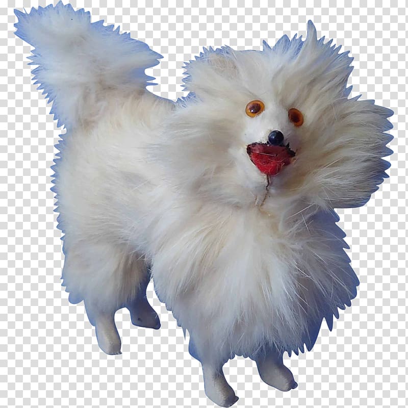 German Spitz Klein Pomeranian Volpino Samoyed dog, others transparent background PNG clipart