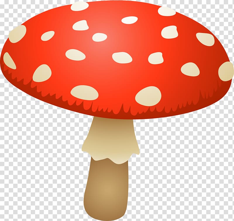 Oyster Mushroom Fungus Edible mushroom Amanita muscaria, mushroom transparent background PNG clipart