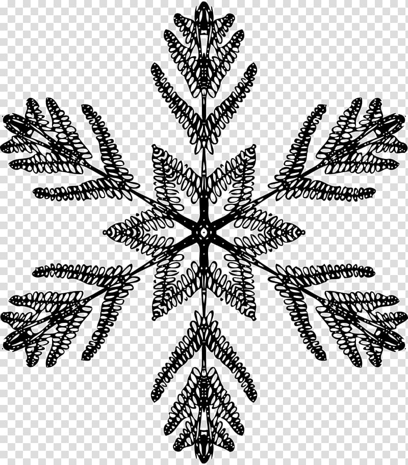 Black and white Symmetry Snowflake , Snowflake transparent background PNG clipart