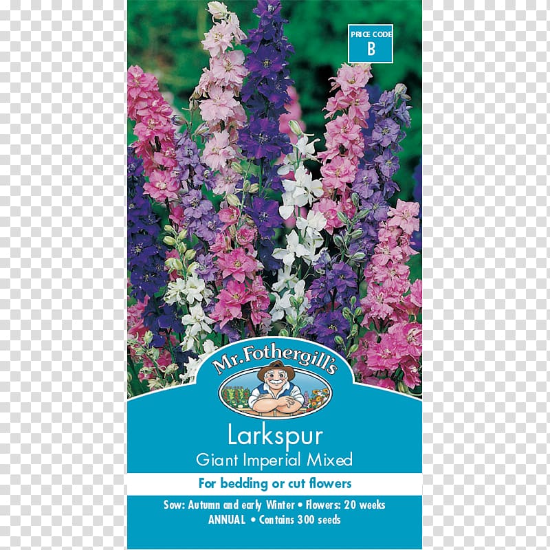 Larkspur Consolida regalis Consolida ajacis Seed Flower, flower transparent background PNG clipart