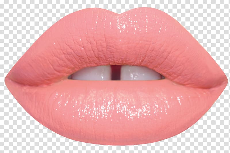 Lime Crime Unicorn Lipstick Lime Crime Velvetines Cosmetics, lipstick transparent background PNG clipart