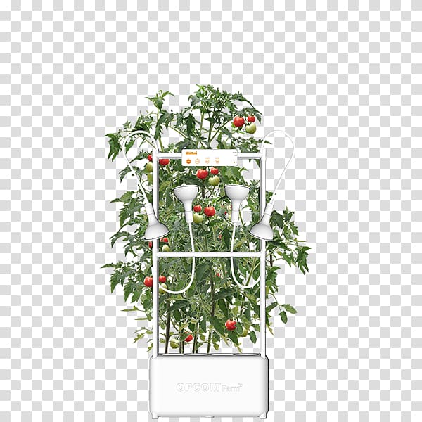 Hydroponics Farm Grow box Flowerpot Nutrient film technique, Hydroponic transparent background PNG clipart