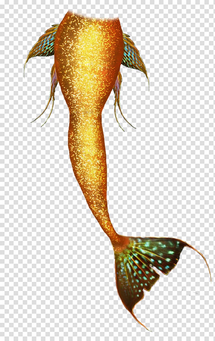 brown and green fish illustration, Mermaid Tail Legendary creature, mermaid tails transparent background PNG clipart