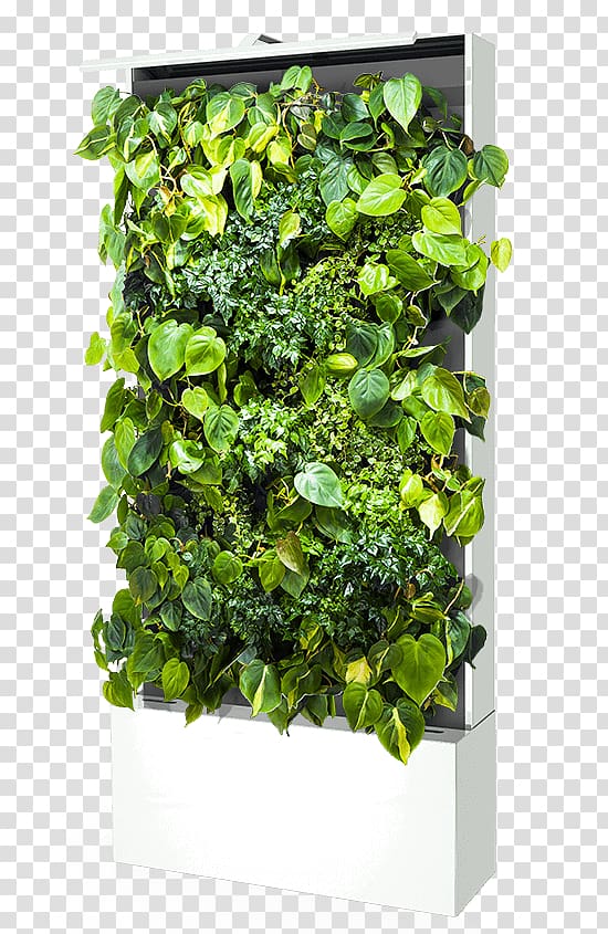 Green wall Sustainable design Parede Flowerpot, green wall transparent background PNG clipart