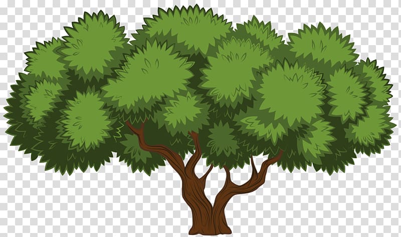green and brown tree illustration, Costa Rican Wildlife , Tree transparent background PNG clipart