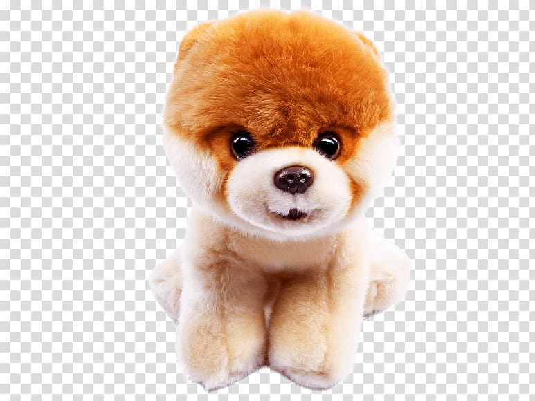 Pomeranian Stuffed Animals & Cuddly Toys German Spitz Puppy Boo, samurai transparent background PNG clipart