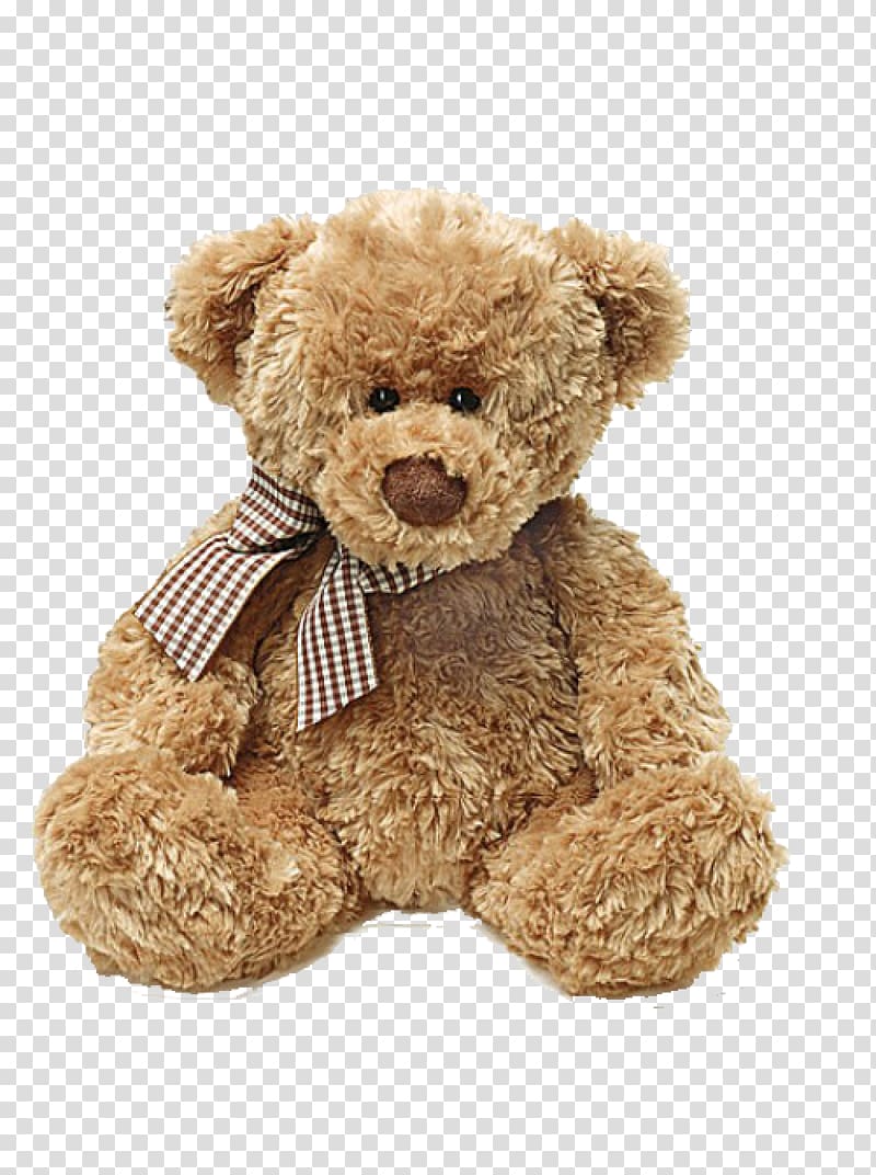 Teddy bear transparent background PNG clipart