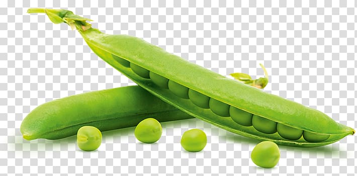 Pea transparent background PNG clipart