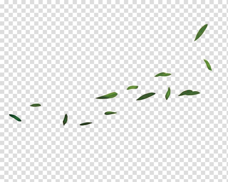 Green Leaf Bamboo, Floating bamboo transparent background PNG clipart