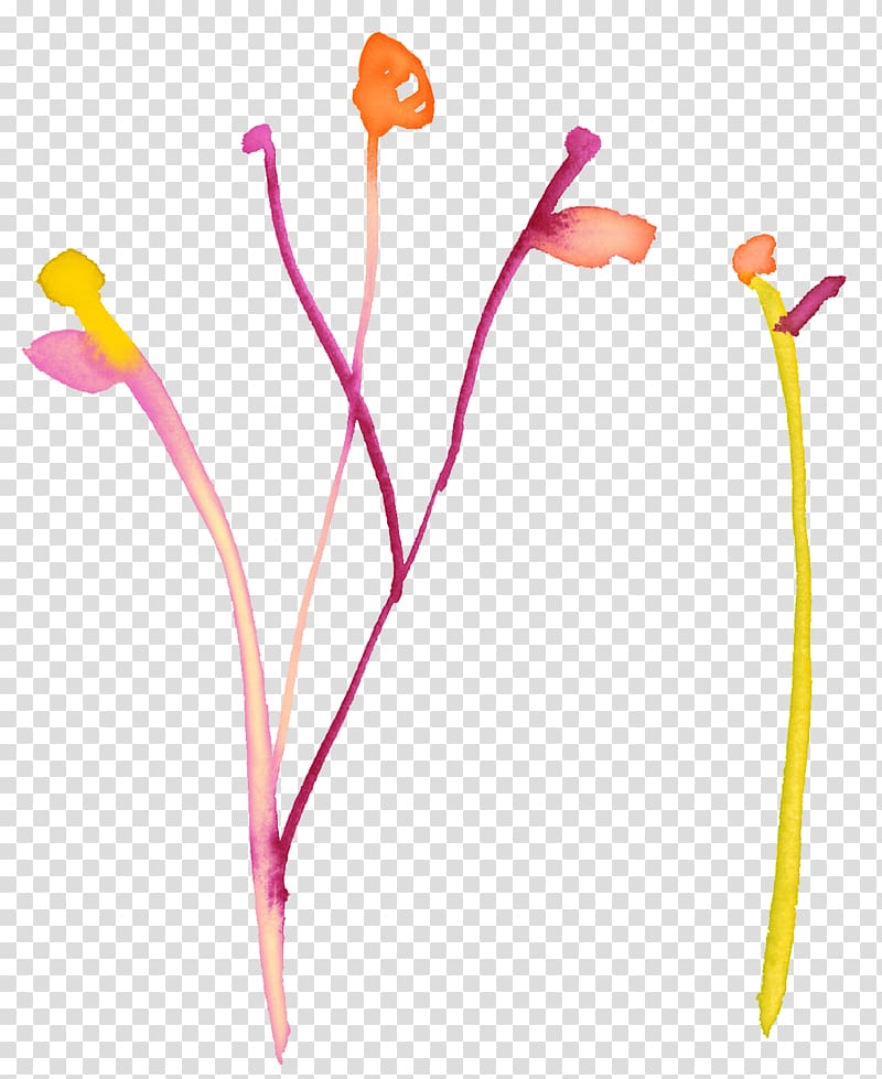 Adobe Illustrator Illustration, Simple hand-painted flower pen Literary bone transparent background PNG clipart