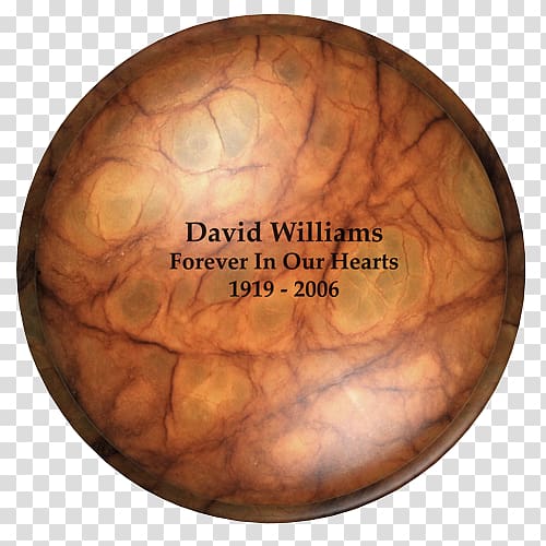 Wood /m/083vt Sphere, wood transparent background PNG clipart