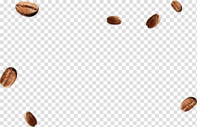 coffee beans illustration, MacCoffee Food Nut Brand, coffe been transparent background PNG clipart
