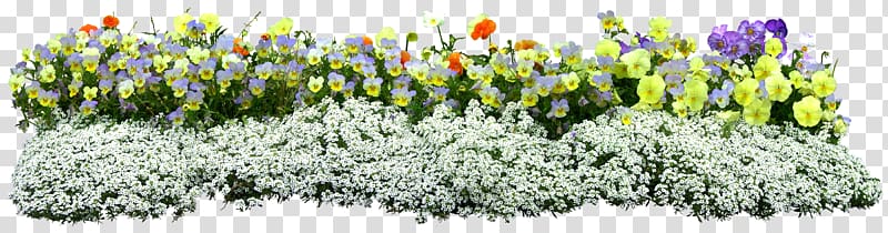 assorted-color flowers illustration, Flower, GARDEN transparent background PNG clipart
