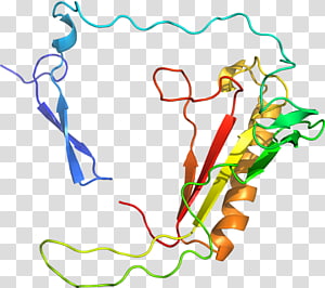 Line Point Organism , line transparent background PNG clipart thumbnail