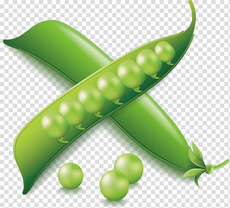 Vegetable Euclidean Icon, Snow peas transparent background PNG clipart