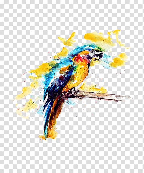 Budgerigar Parrot Watercolor painting Illustration, Yellow watercolor parrot illustration transparent background PNG clipart