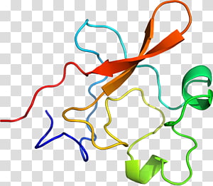 Line Point Organism , line transparent background PNG clipart thumbnail