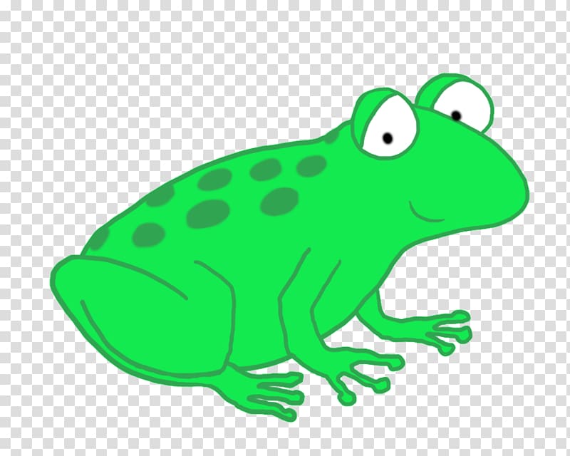 Toad True frog Tree frog , frog transparent background PNG clipart